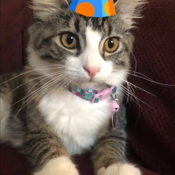 Meet your Posher, Genna - Picture 1 of 1